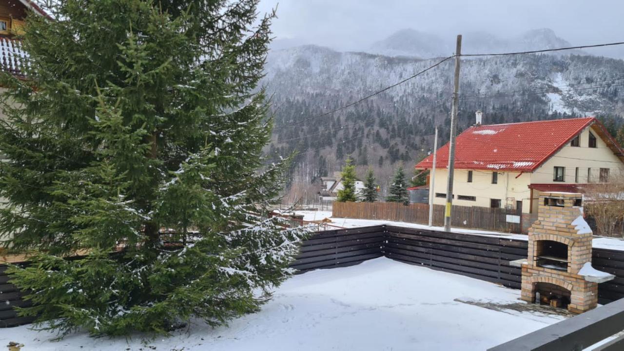 Nordic Chalet Sinaia Bagian luar foto